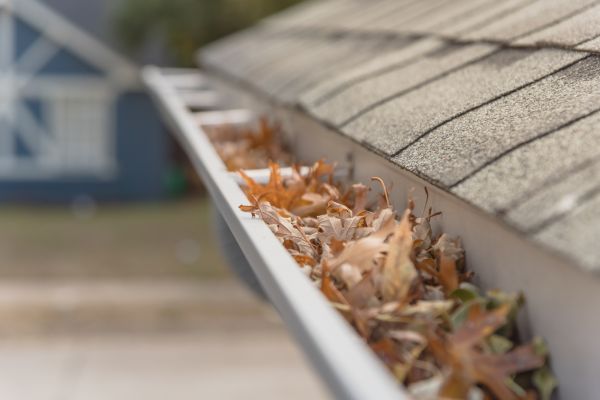 Leaf Barrier Installation in Orange Park